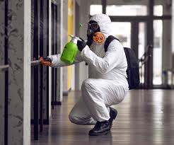 Best Basement Mold Removal in Lipscom, AL